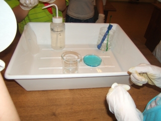 web_DSCF8611.JPG