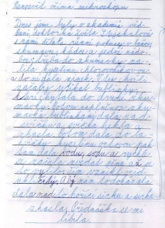 Obrázek (48).jpg