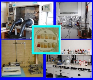 laborator_elch_materialu.JPG